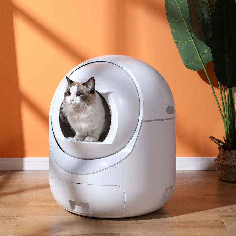 Celestial Spaceship: Fully Automatic Intelligent Cat Sanctuary